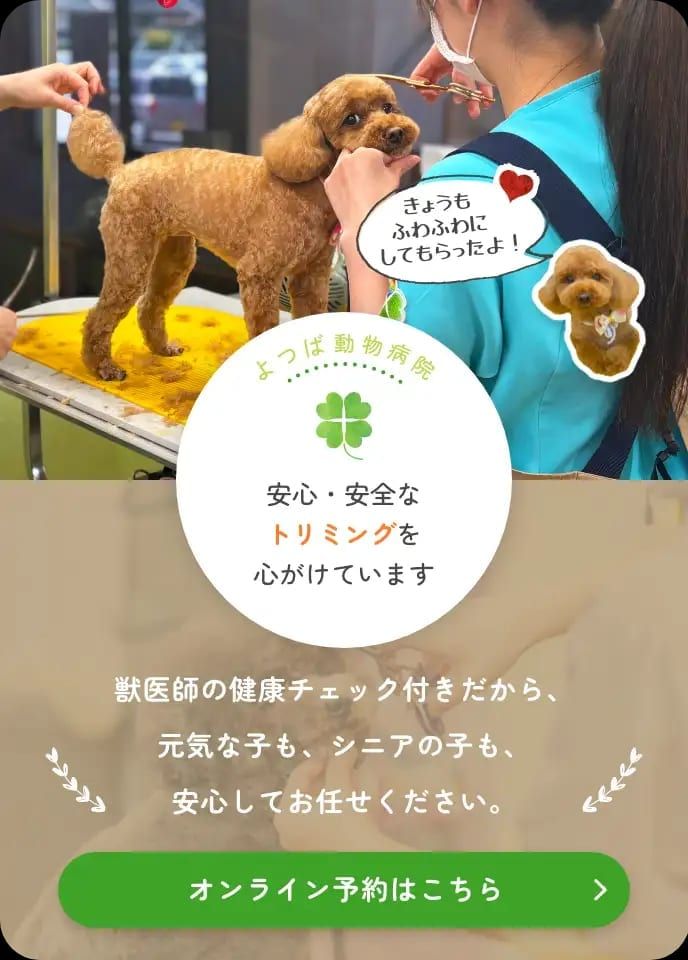 キッチン・水まわり