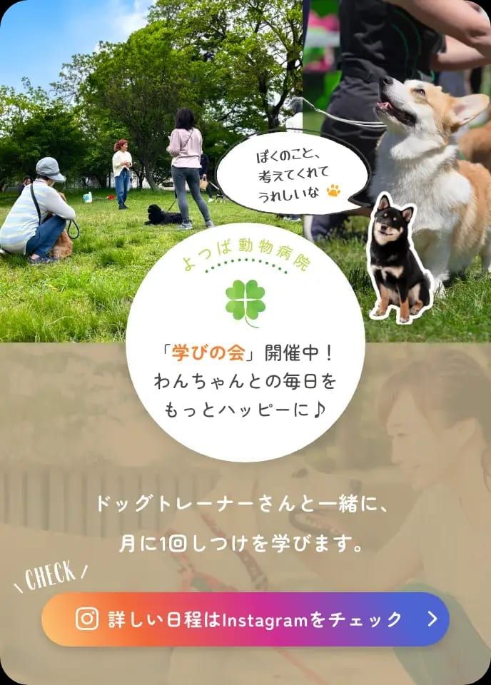 施工イメージ 4