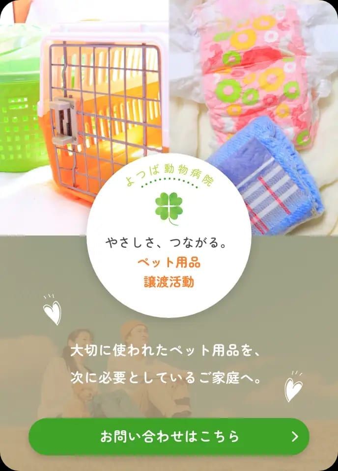 施工イメージ 5
